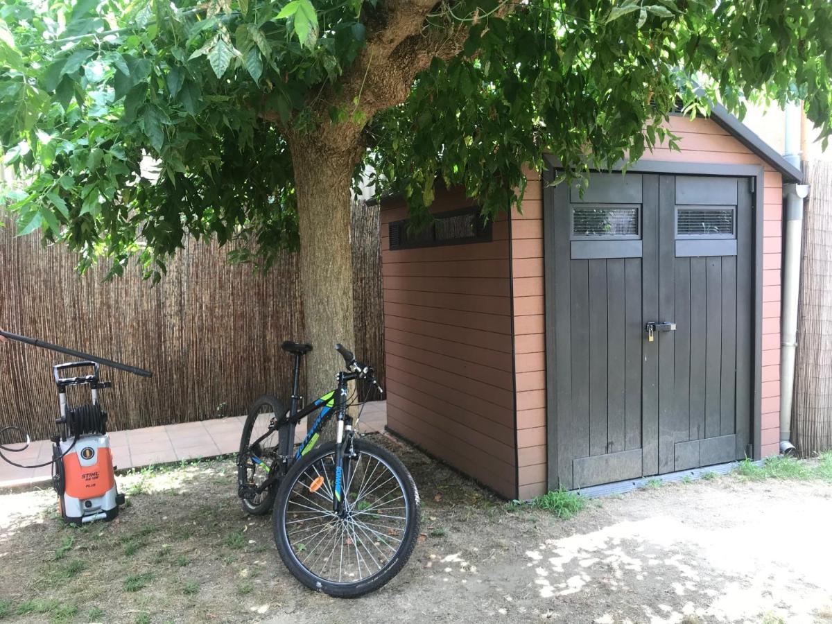 Apartamento "El Lila" - Parking Incluido Olot Buitenkant foto