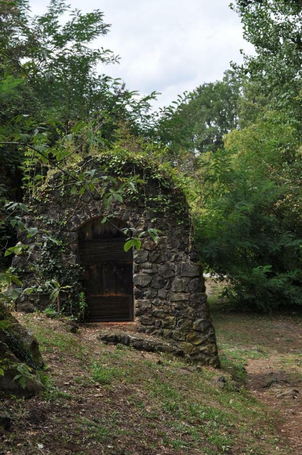 Apartamento "El Lila" - Parking Incluido Olot Buitenkant foto